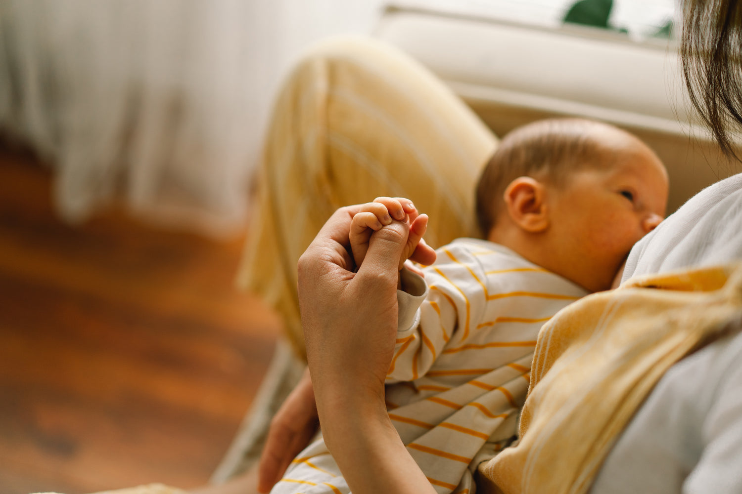 Baby nuckelt an der Brust der Mutter die mombloom Essentials nimmt in der Stillzeit