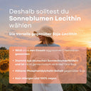 mombloom Lecithin Kapseln
