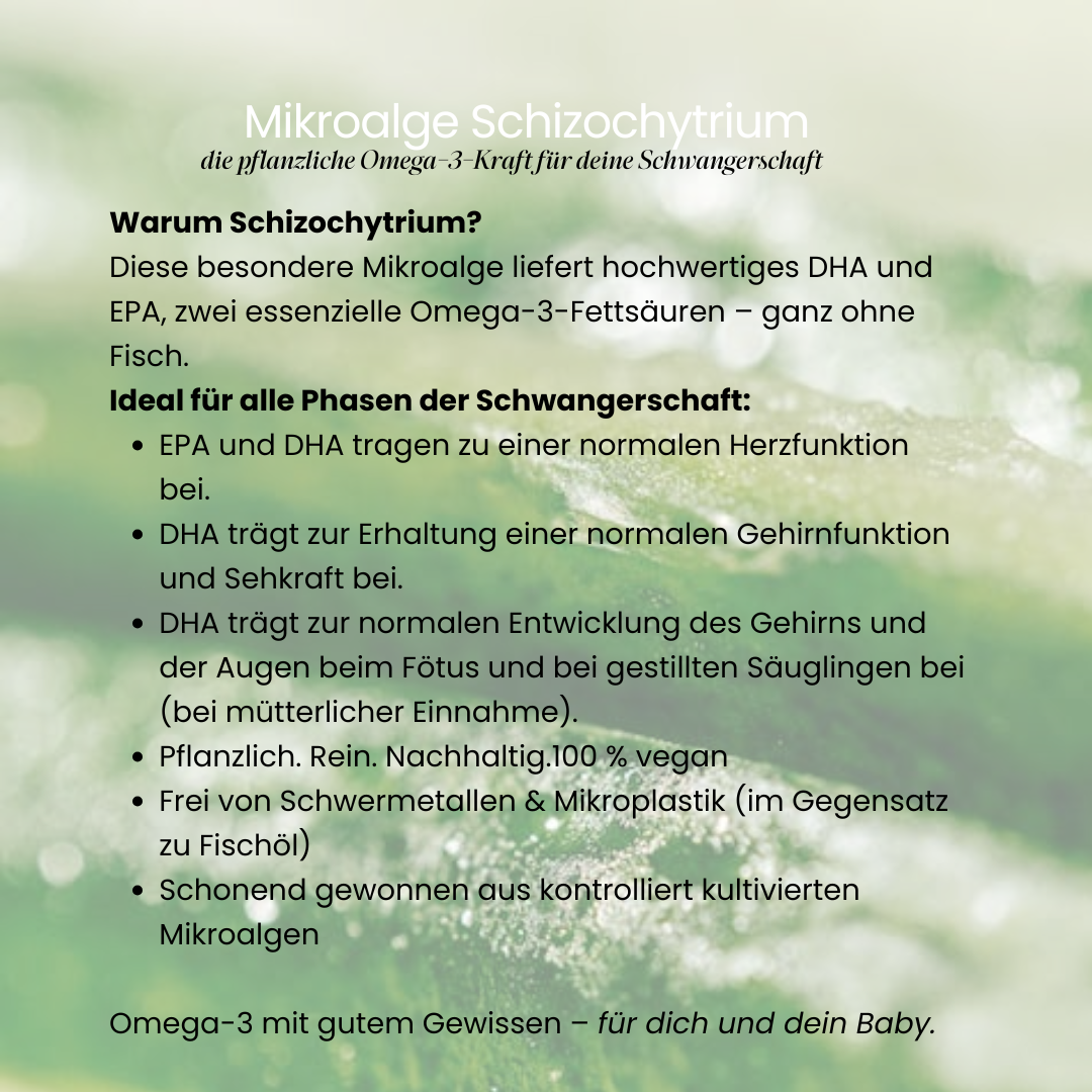 mombloom Omega-3 Algenöl